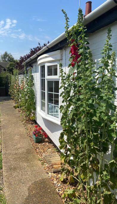 Field Cottage Whittlesey Экстерьер фото